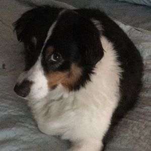 Meet your Posher, Sharon